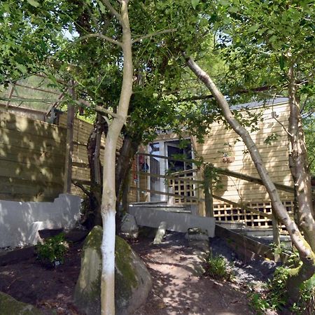 Tawny Lodge Westport Ngoại thất bức ảnh