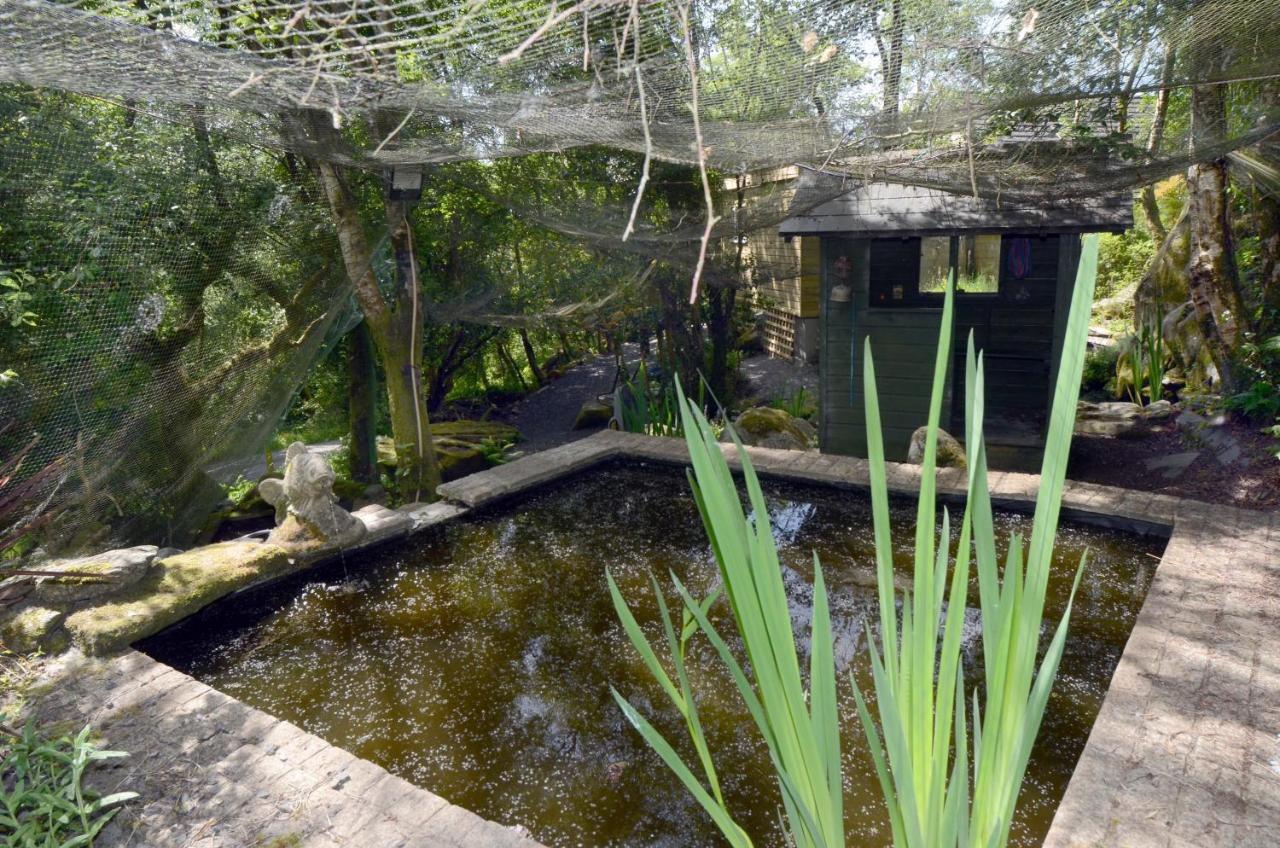 Tawny Lodge Westport Ngoại thất bức ảnh