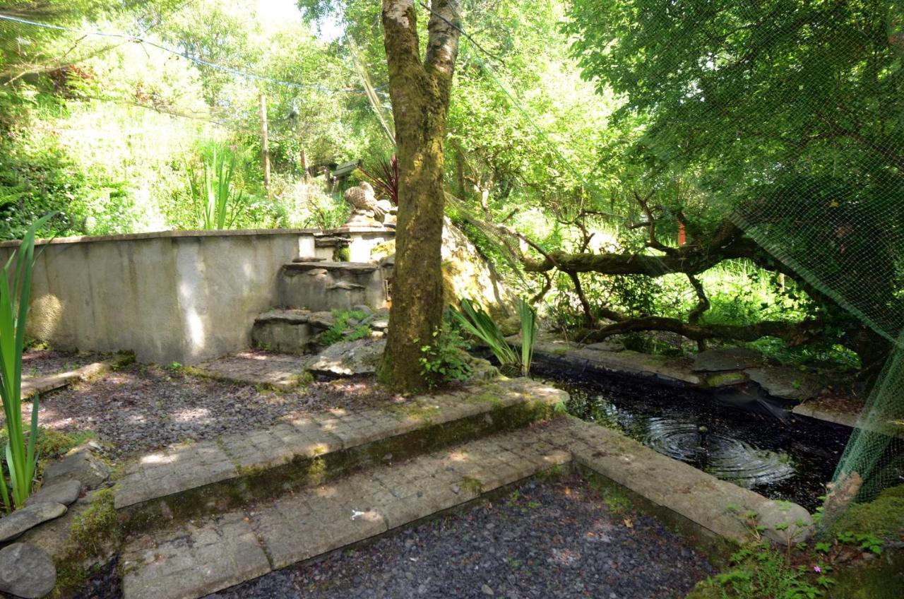 Tawny Lodge Westport Ngoại thất bức ảnh
